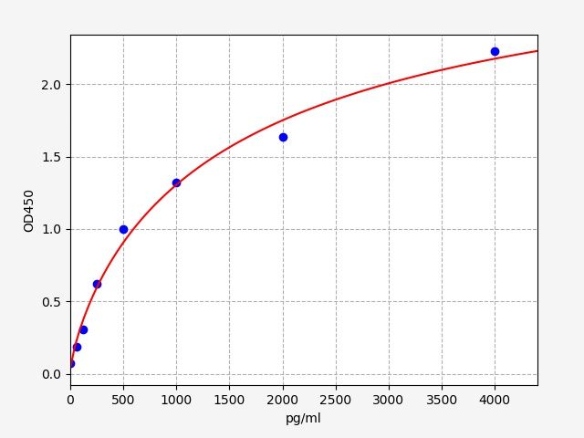 Rat BAFF/CD257 (B-Cell Activating Factor) ELISA Kit