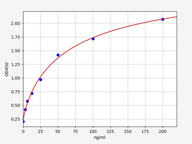 Rat CFB (Complement Factor B) ELISA Kit