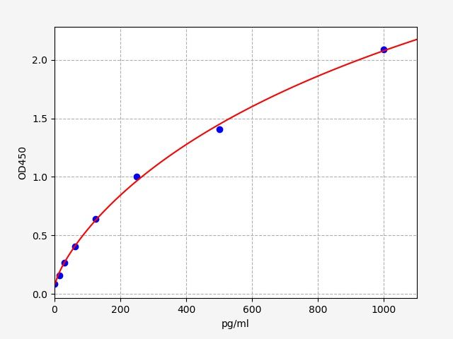 Rat CGRP (Calcitonin Gene Related Peptide) ELISA Kit
