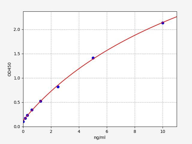 Rat CLDN5 (Claudin-5) ELISA Kit