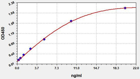 Rat MMP13 (Matrix Metalloproteinase 13) ELISA Kit
