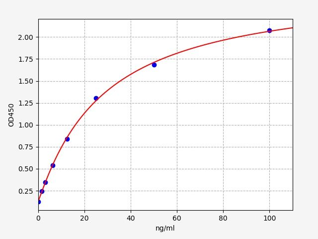 Rat Anti- (Islet cell) Antibody ELISA Kit