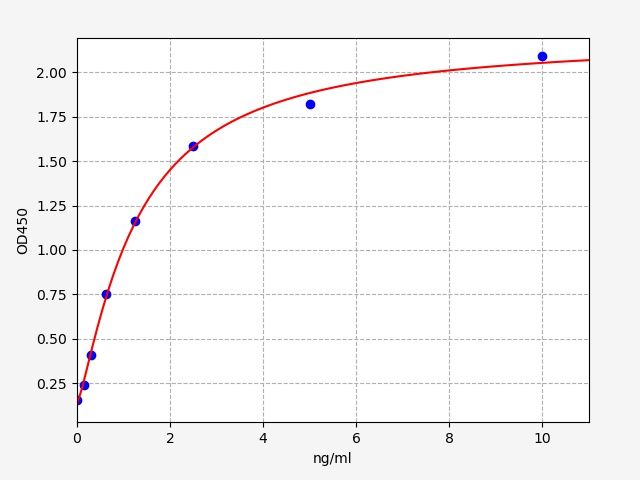 Rat FOXO1 (Forkhead box protein O1) ELISA Kit