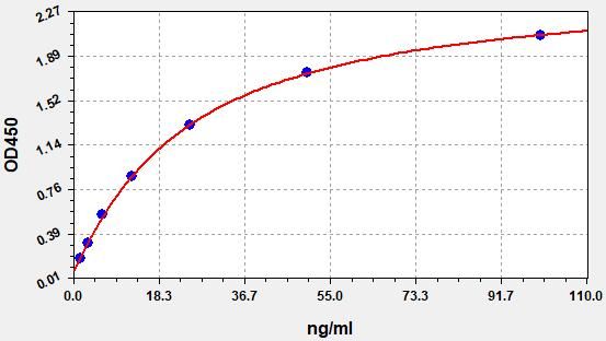 Rat C3D (Complement Fragment 3d) ELISA Kit