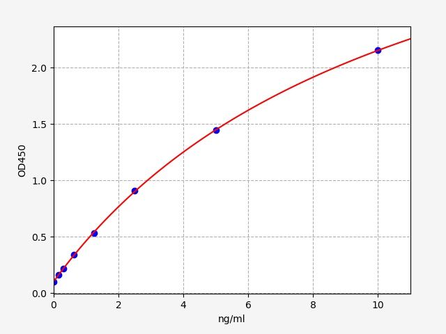 Rat TUBB3 (Tubulin beta-3 chain) ELISA Kit