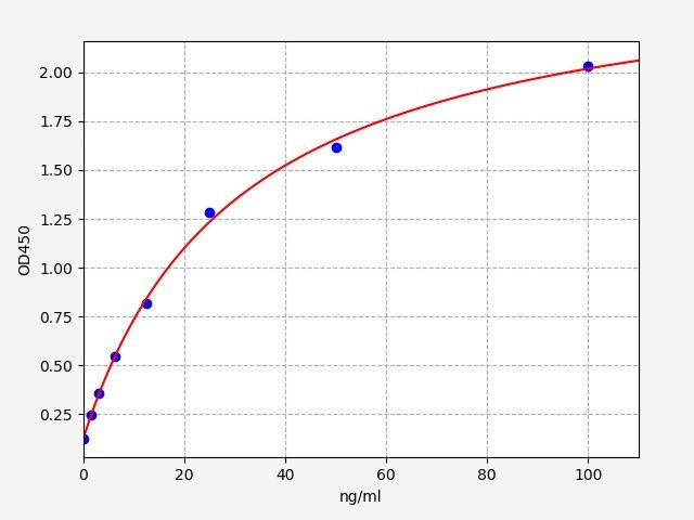 Rabbit CIC (circulating immune complex) ELISA Kit