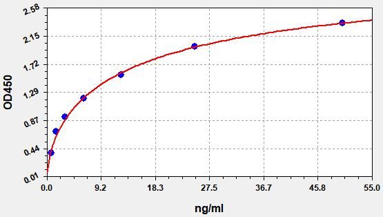 OVA (Ovalbumin) ELISA Kit