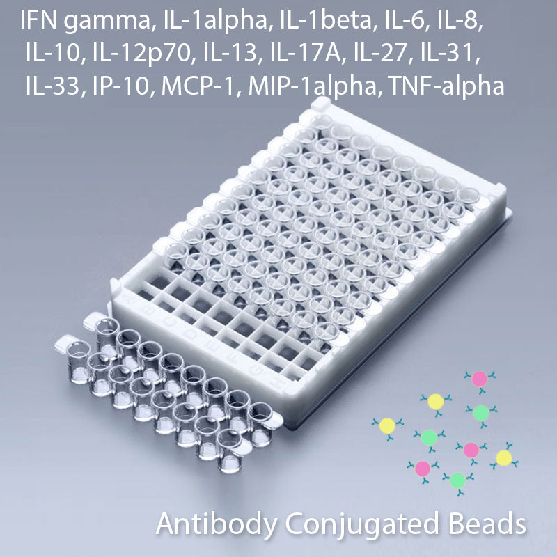 Multiplex IFN-Gamma, IL-1Alpha, IL-1Beta, IL-6, IL-8, IL-10, IL-12p70, IL-13, IL-17A, IL-27, IL-31, IL-33, IP-10, MCP-1, MIP-1Alpha, and TNF-Alpha Multiplex Kit