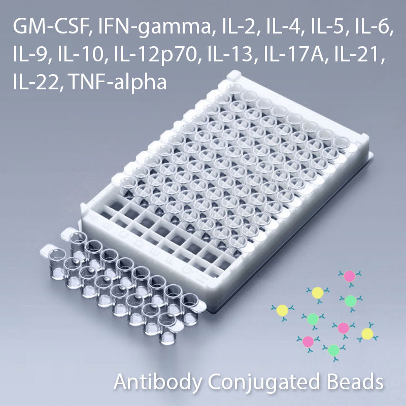 Multiplex GM-CSF, IFN-Gamma, IL-2, IL-4, IL-5, IL-6, IL-9, IL-10, IL-12p70, IL-13, IL-17A, IL-21, IL-22 and TNF-Alpha Multiplex Kit