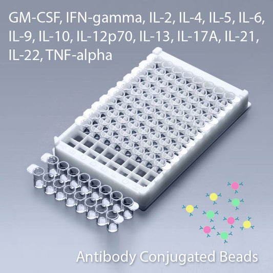 Multiplex GM-CSF, IFN-Gamma, IL-2, IL-4, IL-5, IL-6, IL-9, IL-10, IL-12p70, IL-13, IL-17A, IL-21, IL-22 and TNF-Alpha Multiplex Kit