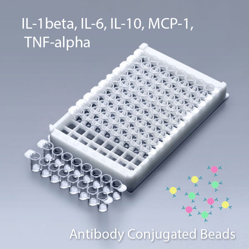 Multiplex IL-1Beta, IL-6, IL-10, MCP-1, TNF-Alpha Multiplex Kit