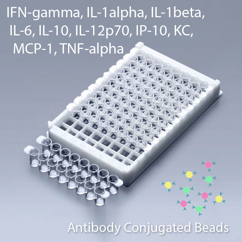 Multiplex IFN-Gamma, IL-1Alpha, IL-1Beta, IL-6, IL-10, IL-12p70, IP-10, KC, MCP-1, TNF-Alpha Multiplex Kit