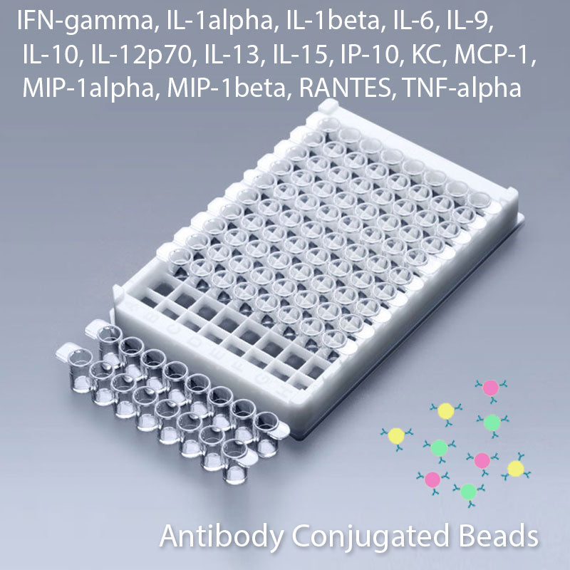 Multiplex IFN-Gamma, IL-1Alpha, IL-1Beta, IL-6, IL-9, IL-10, IL-12p70, IL-13, IL-15, IP-10, KC, MCP-1, MIP-1Alpha, MIP-1Beta, RANTES, TNF-Alpha Multiplex Kit