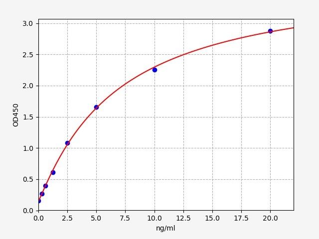 Rat NOX1 (Nicotinamide Adenine Dinucleotide Phosphate Oxidase 1) QuickTest ELISA Kit