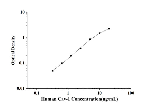 Human Cav-1 (Caveolin-1) ELISA Kit