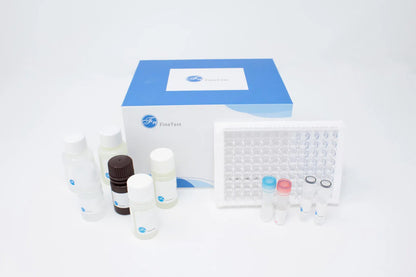 Mouse GABA (Gamma-aminobutyric acid) ELISA Kit