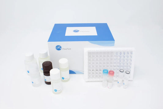 Mouse GABA (Gamma-aminobutyric acid) ELISA Kit